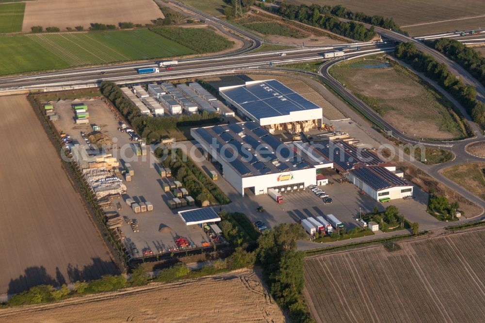 Aerial image Mutterstadt - Homestead of a farm von Gemuese Renner V+V GmbH in Mutterstadt in the state Rhineland-Palatinate, Germany