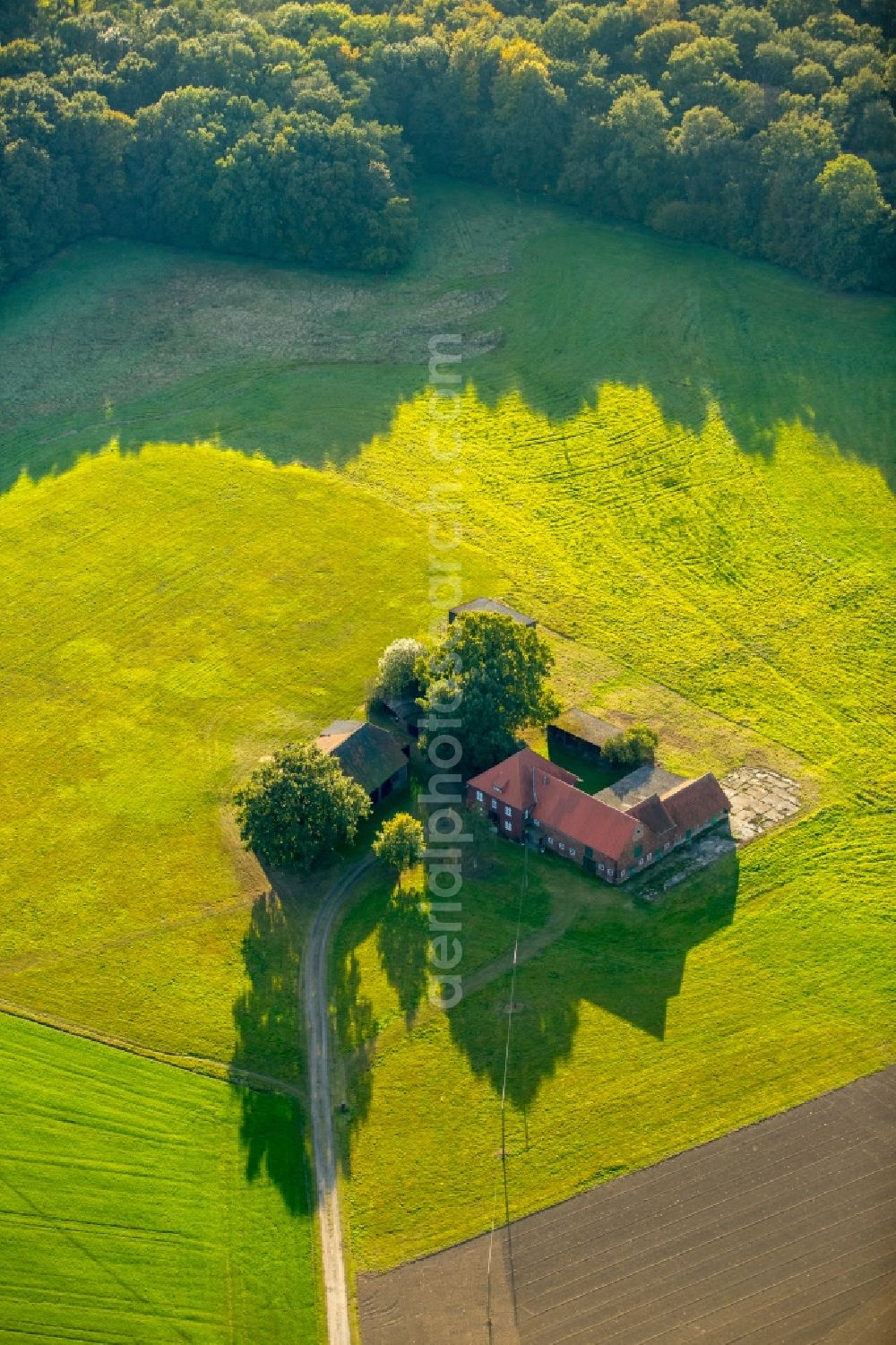 Aerial photograph Gladbeck - Homestead of a farm an der Schanzenheide in Gladbeck in the state North Rhine-Westphalia