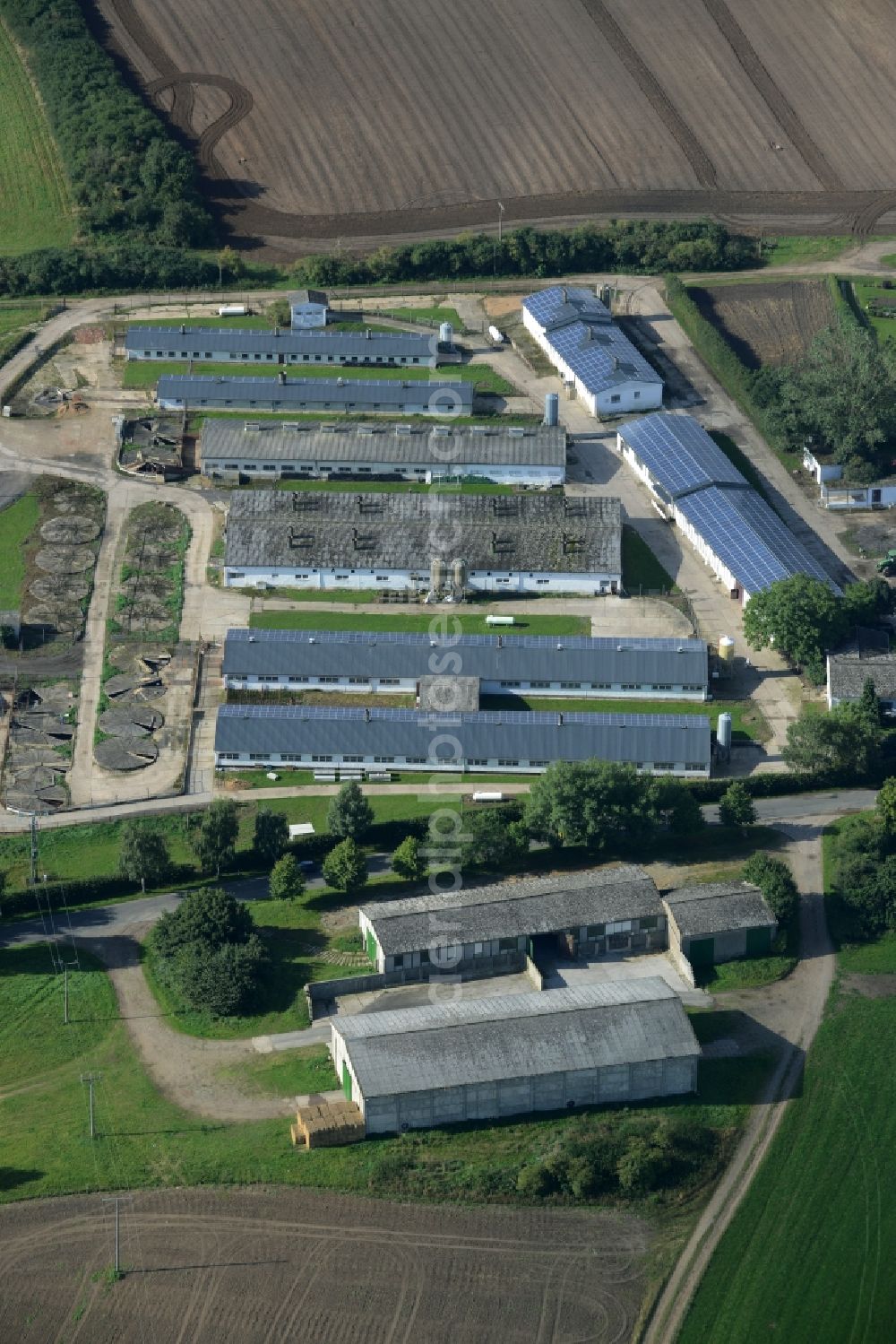 Gnevsdorf from the bird's eye view: Farm in Gnevsdorf in the state of Mecklenburg - Western Pomerania. The large agricultural estate with halls, buildings and stables is located on the Eastern edge of the small village