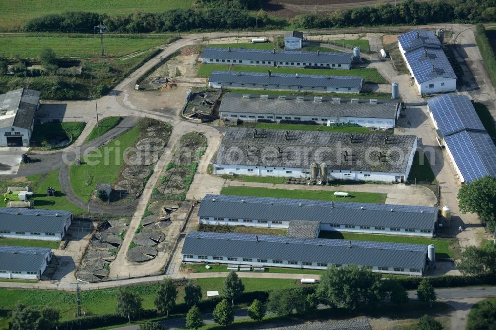 Gnevsdorf from the bird's eye view: Farm in Gnevsdorf in the state of Mecklenburg - Western Pomerania. The large agricultural estate with halls, buildings and stables is located on the Eastern edge of the small village