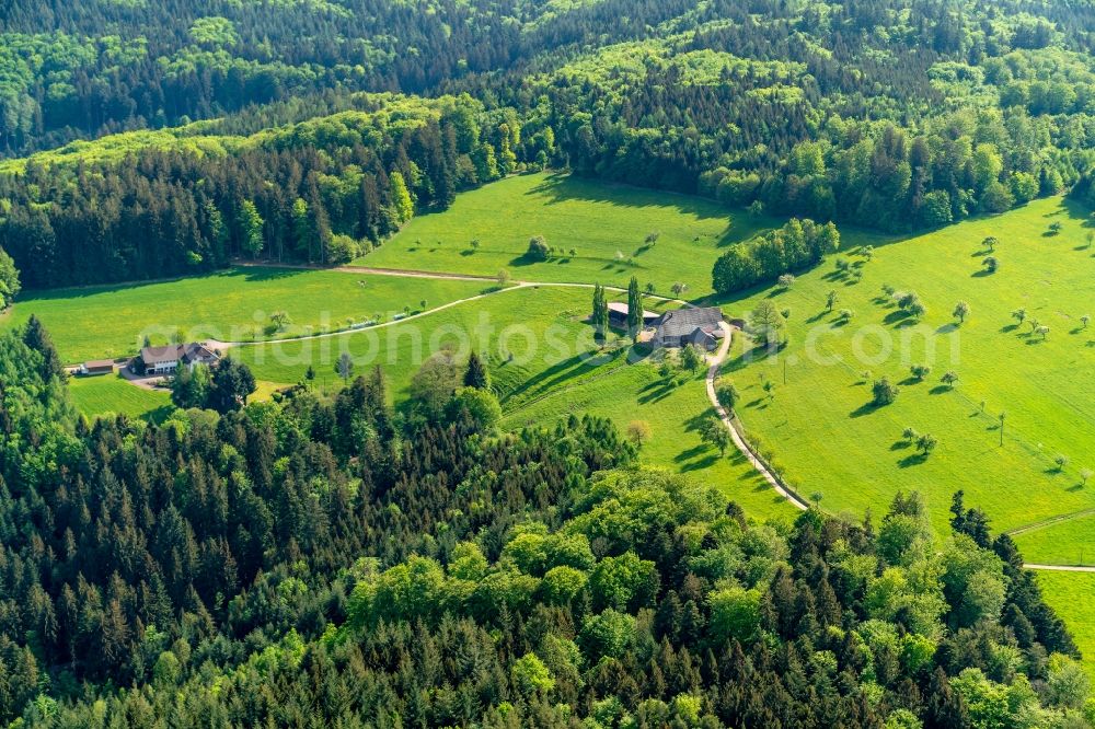 Seelbach from the bird's eye view: Homestead of a farm Hasenberg in Seelbach in the state Baden-Wuerttemberg, Germany