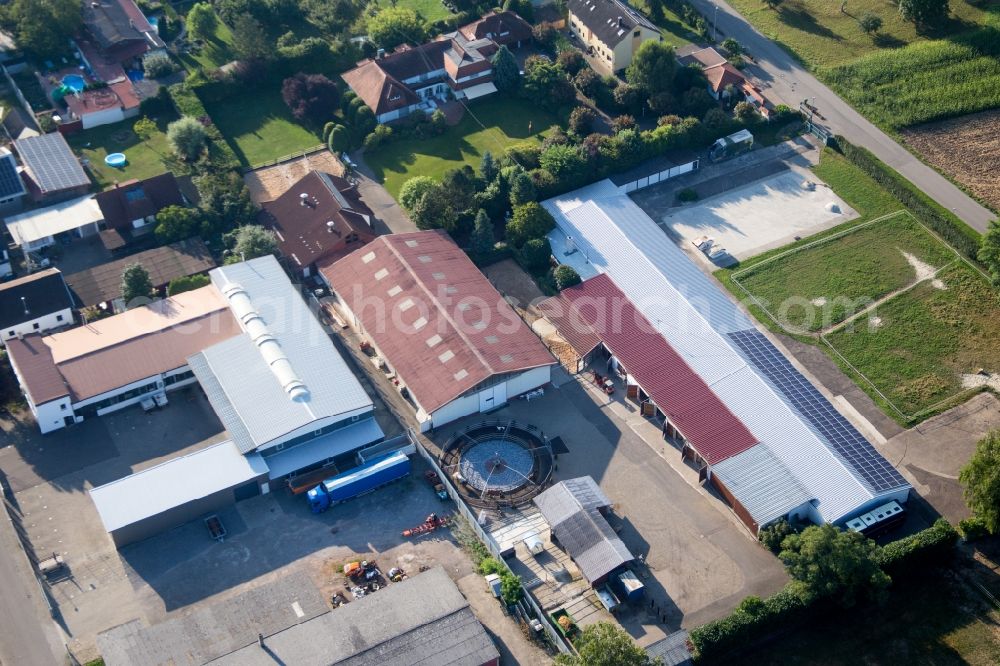 Neuried from the bird's eye view: Homestead of a farm von Herbert Wollenbaer in the district Ichenheim in Neuried in the state Baden-Wuerttemberg, Germany