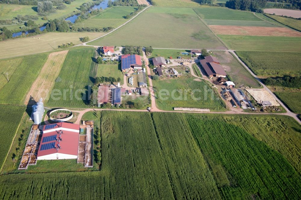 Aerial image Neuried - Homestead of a farm von Herbert Wollenbaer in the district Ichenheim in Neuried in the state Baden-Wuerttemberg, Germany