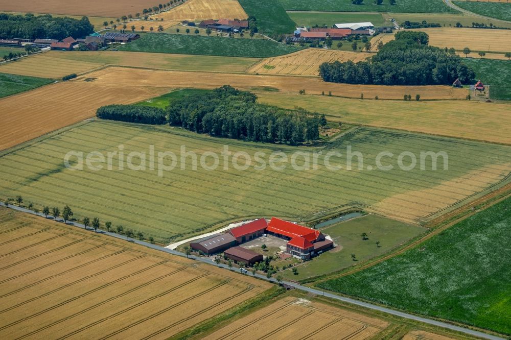 Aerial image Sendenhorst - Homestead of a farm Im Holt in Sendenhorst in the state North Rhine-Westphalia, Germany