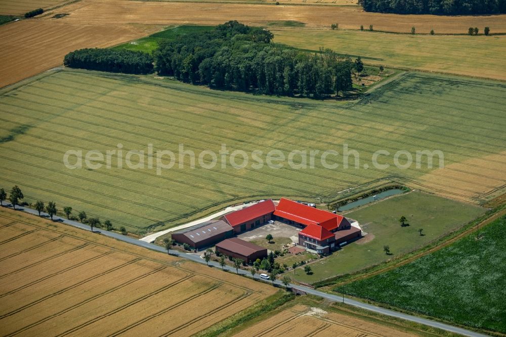 Aerial photograph Sendenhorst - Homestead of a farm Im Holt in Sendenhorst in the state North Rhine-Westphalia, Germany