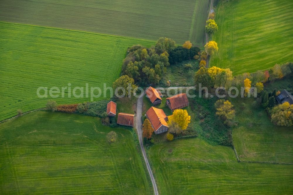 Gladbeck from the bird's eye view: Homestead of a farm on Holtkampstrasse in Gladbeck in the state North Rhine-Westphalia, Germany