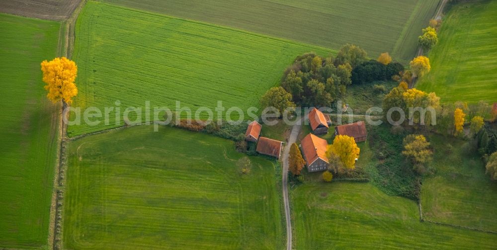 Aerial image Gladbeck - Homestead of a farm on Holtkampstrasse in Gladbeck in the state North Rhine-Westphalia, Germany