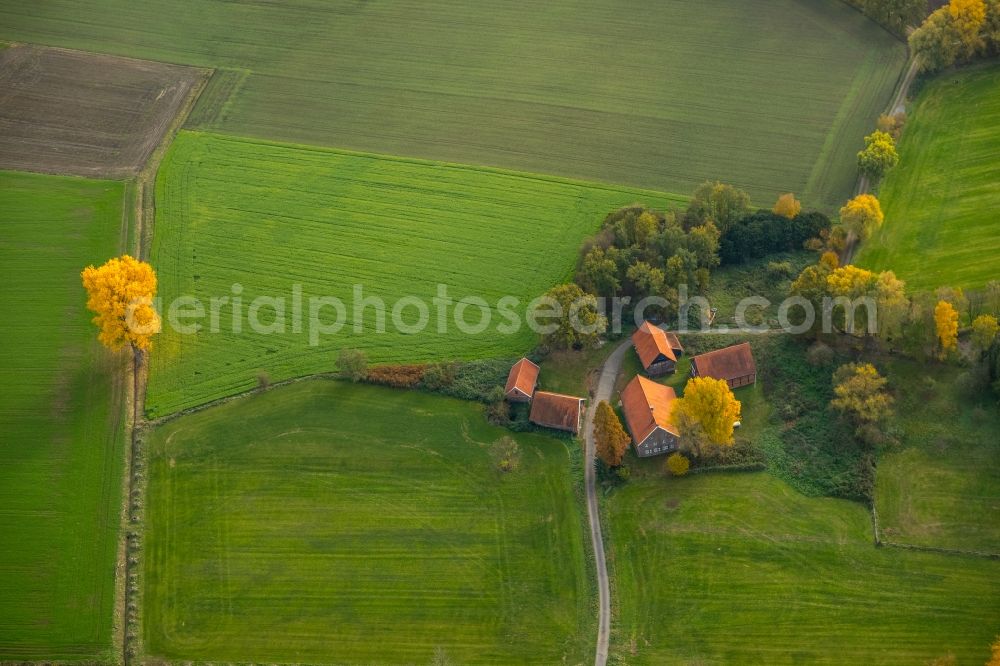 Aerial photograph Gladbeck - Homestead of a farm on Holtkampstrasse in Gladbeck in the state North Rhine-Westphalia, Germany