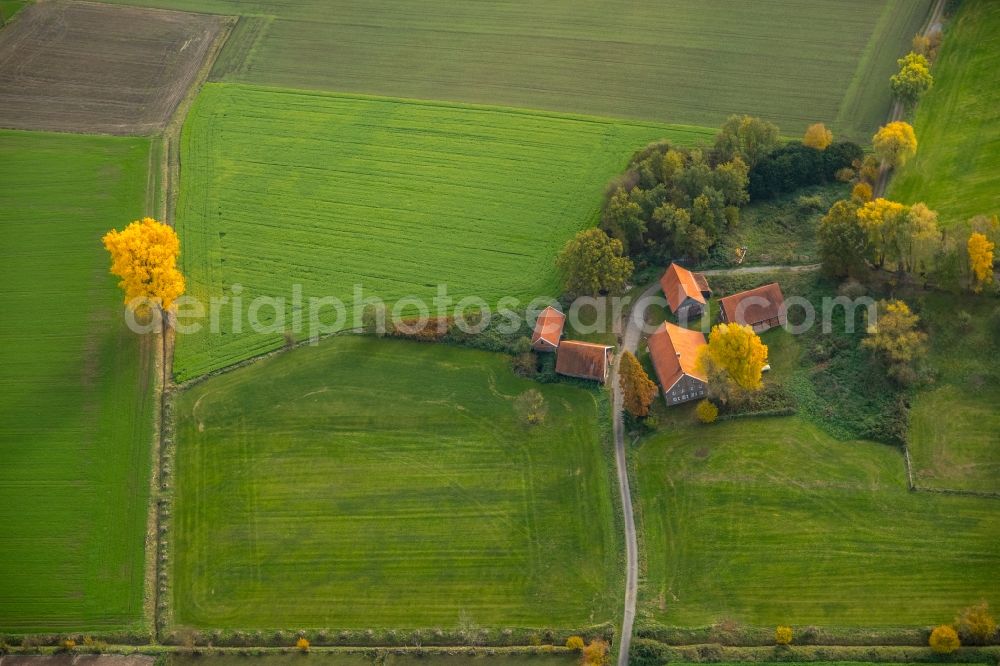 Gladbeck from above - Homestead of a farm on Holtkampstrasse in Gladbeck in the state North Rhine-Westphalia, Germany