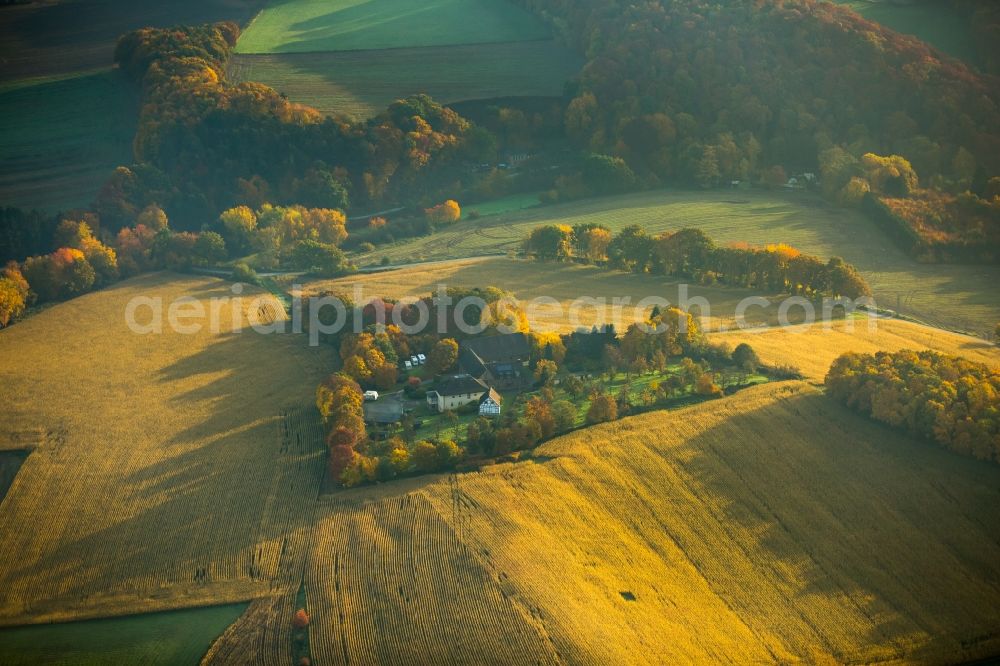 Witten from the bird's eye view: Farm amidst cultivated fields in Witten in the state of North Rhine-Westphalia