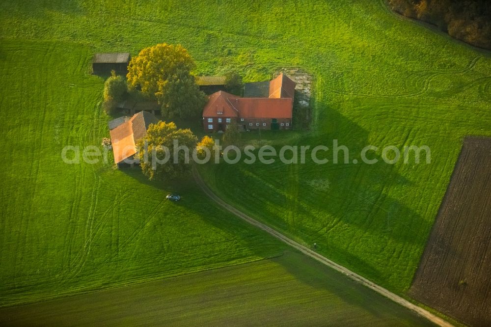 Rentfort from the bird's eye view: Farm amidst autumnal fields in Rentfort in the state of North Rhine-Westphalia