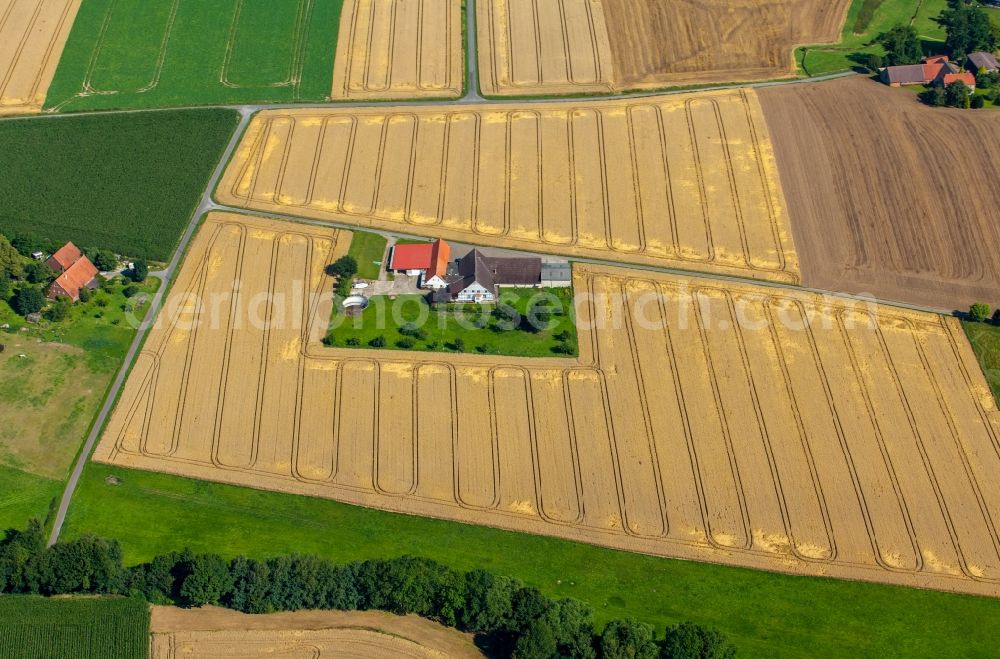 Aerial photograph Rödinghausen - Farm on the edge of cultivated fields at the Street Rabenauweg in Roedinghausen in the state North Rhine-Westphalia