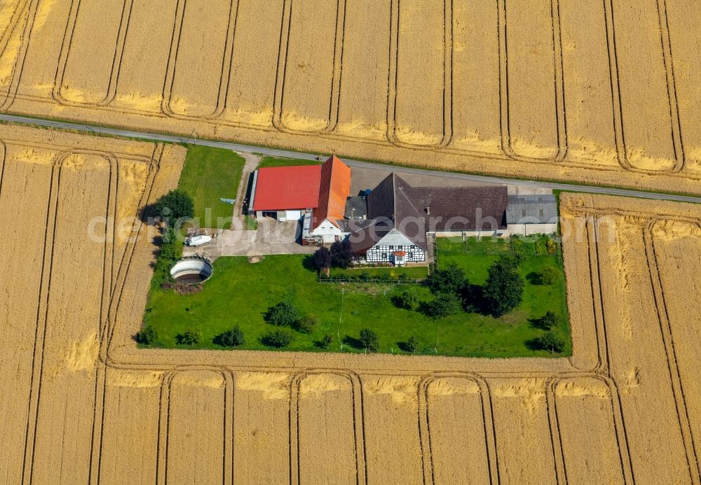 Rödinghausen from above - Farm on the edge of cultivated fields at the Street Rabenauweg in Roedinghausen in the state North Rhine-Westphalia