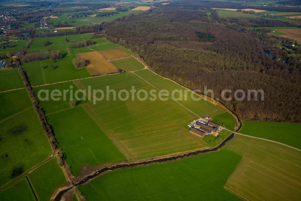 Rheurdt from the bird's eye view: Farm on Landwehrbach creek and a forest in Rheurdt in the state of North Rhine-Westphalia