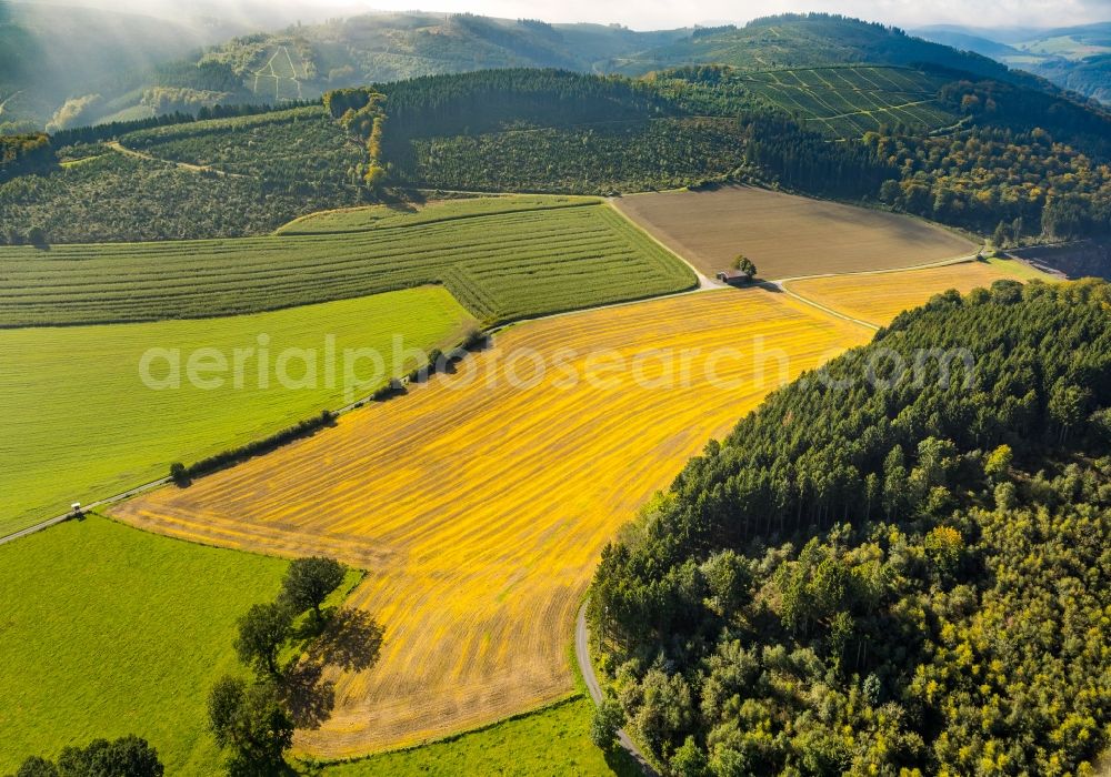 Aerial photograph Meschede - Homestead of a farm on Mescheder Weg in Meschede in the state North Rhine-Westphalia, Germany