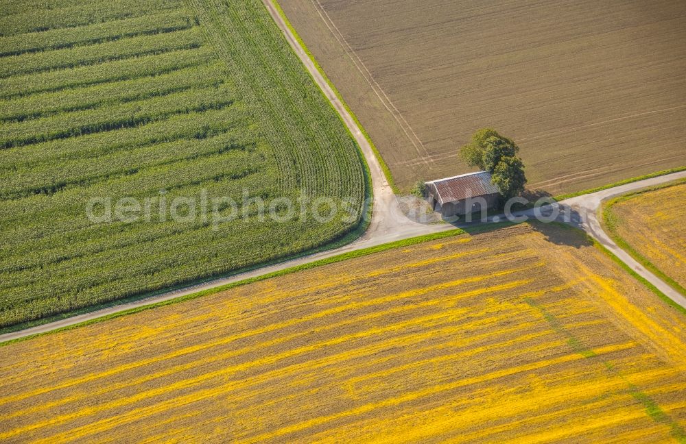 Meschede from above - Homestead of a farm on Mescheder Weg in Meschede in the state North Rhine-Westphalia, Germany