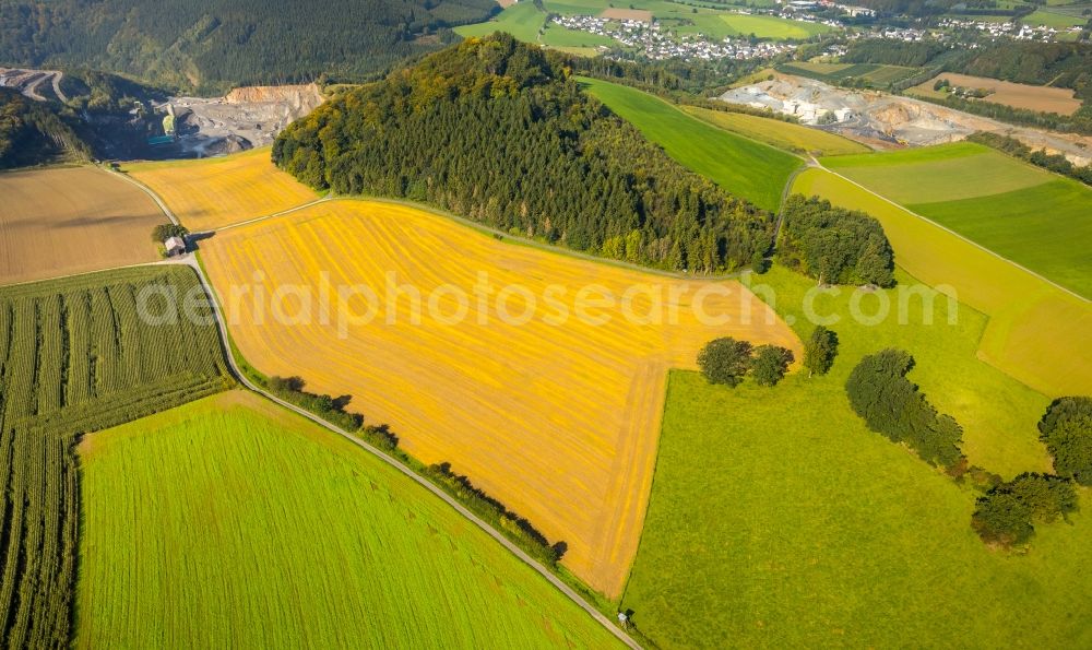 Meschede from the bird's eye view: Homestead of a farm on Mescheder Weg in Meschede in the state North Rhine-Westphalia, Germany