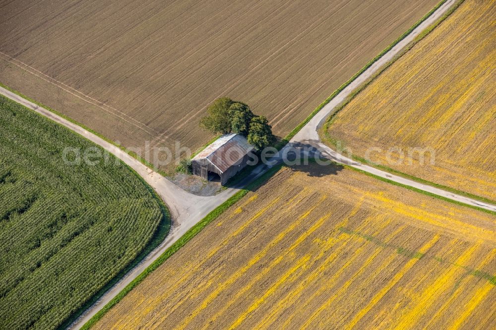 Aerial image Meschede - Homestead of a farm on Mescheder Weg in Meschede in the state North Rhine-Westphalia, Germany