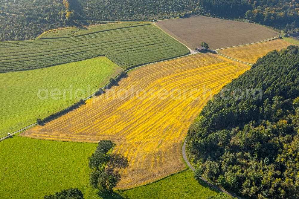 Meschede from above - Homestead of a farm on Mescheder Weg in Meschede in the state North Rhine-Westphalia, Germany