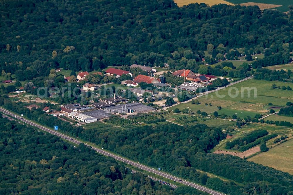 Aerial photograph Freiburg im Breisgau - Homestead of a farm Mundenhof in Freiburg im Breisgau in the state Baden-Wuerttemberg, Germany