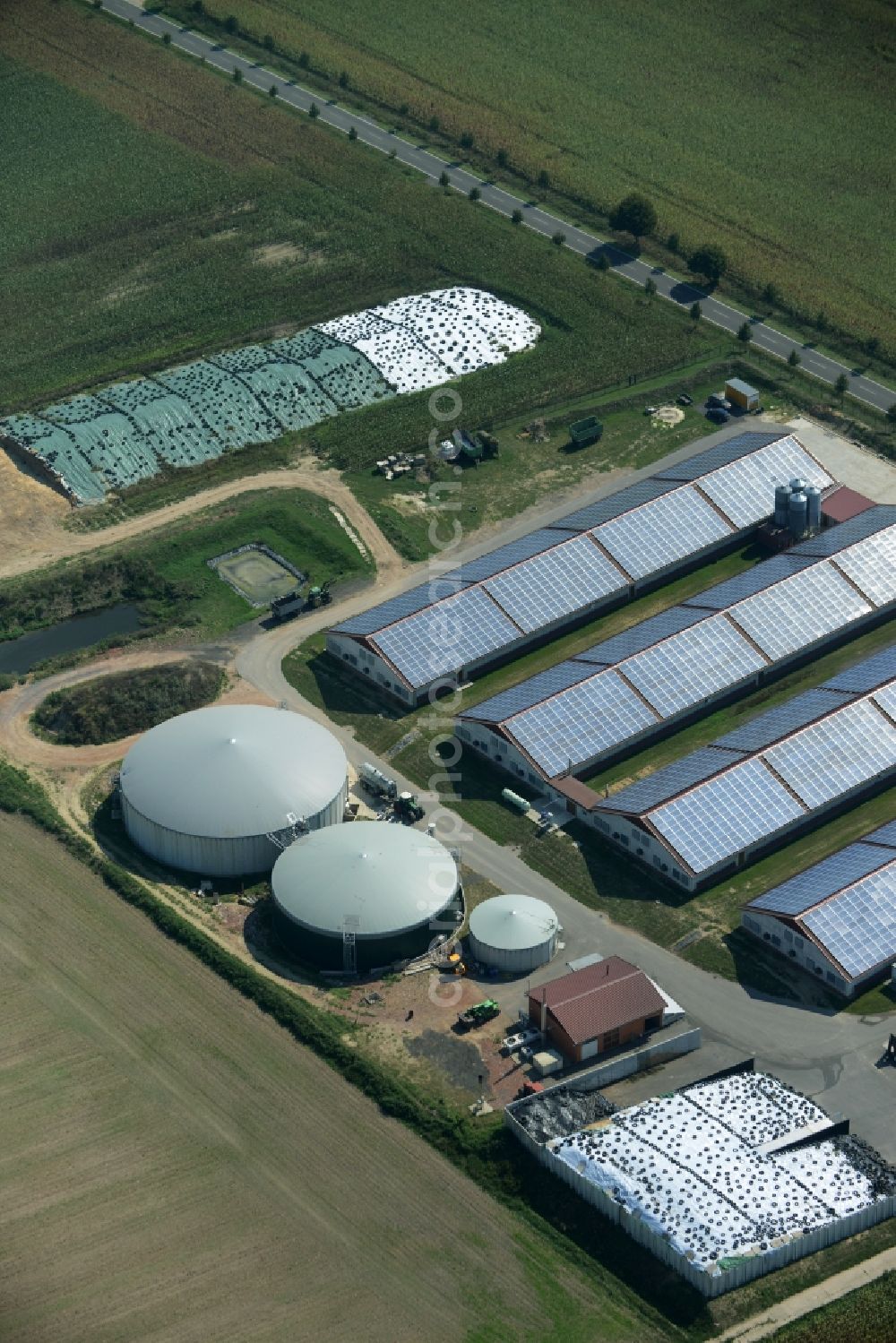 Borgisdorf from the bird's eye view: Farm on the edge the village of Borgisdorf in the state of Brandenburg. The farm includes several buildings, silos and solar cells