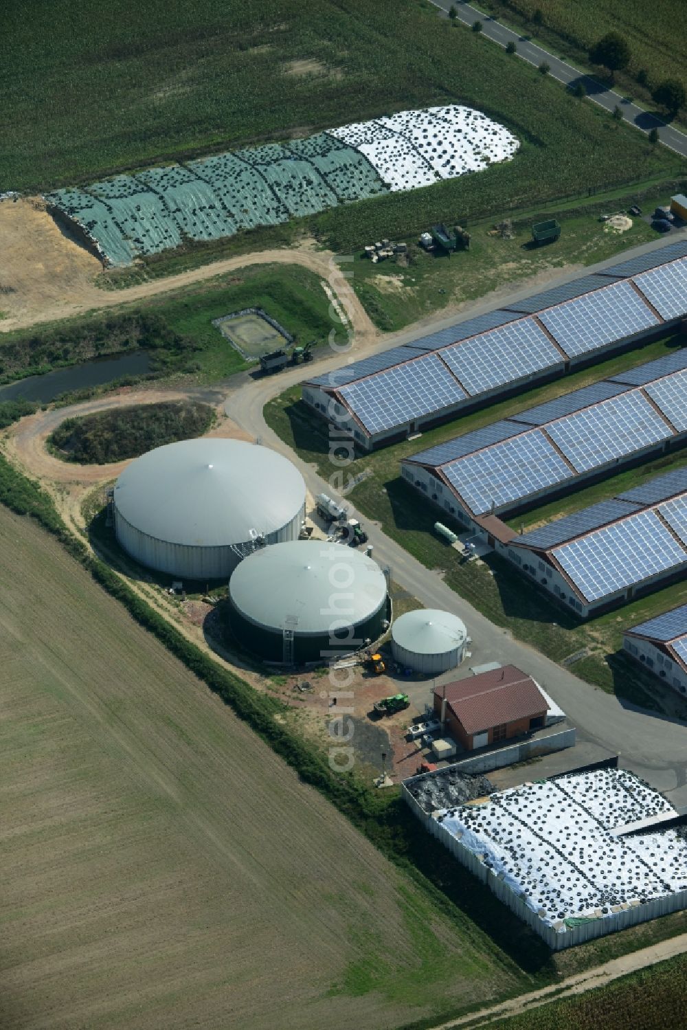 Aerial image Borgisdorf - Farm on the edge the village of Borgisdorf in the state of Brandenburg. The farm includes several buildings, silos and solar cells