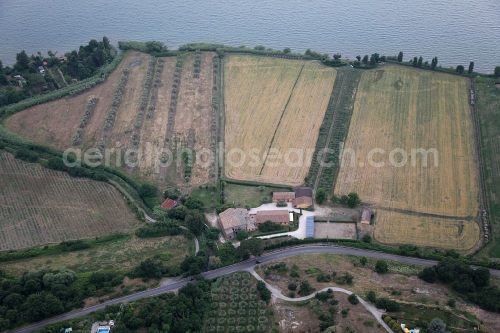 Aerial photograph Bolsena - Farm on the edge of cultivated fields on the north shore of Lake Bolsena in Bolsena in Lazio in Italy