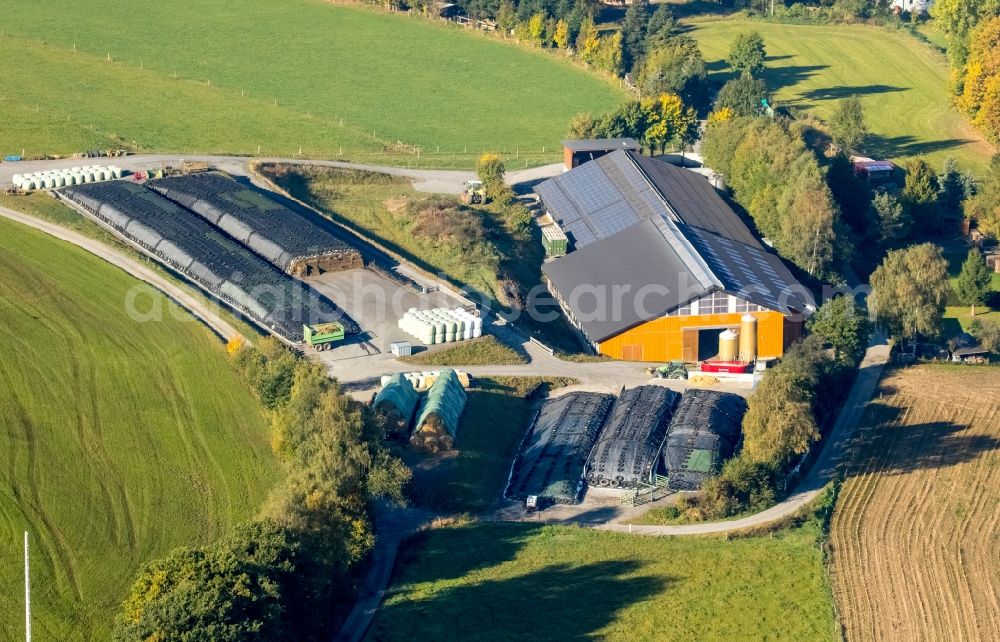 Calle from above - Farm on the edge of cultivated fields in Calle in the state North Rhine-Westphalia