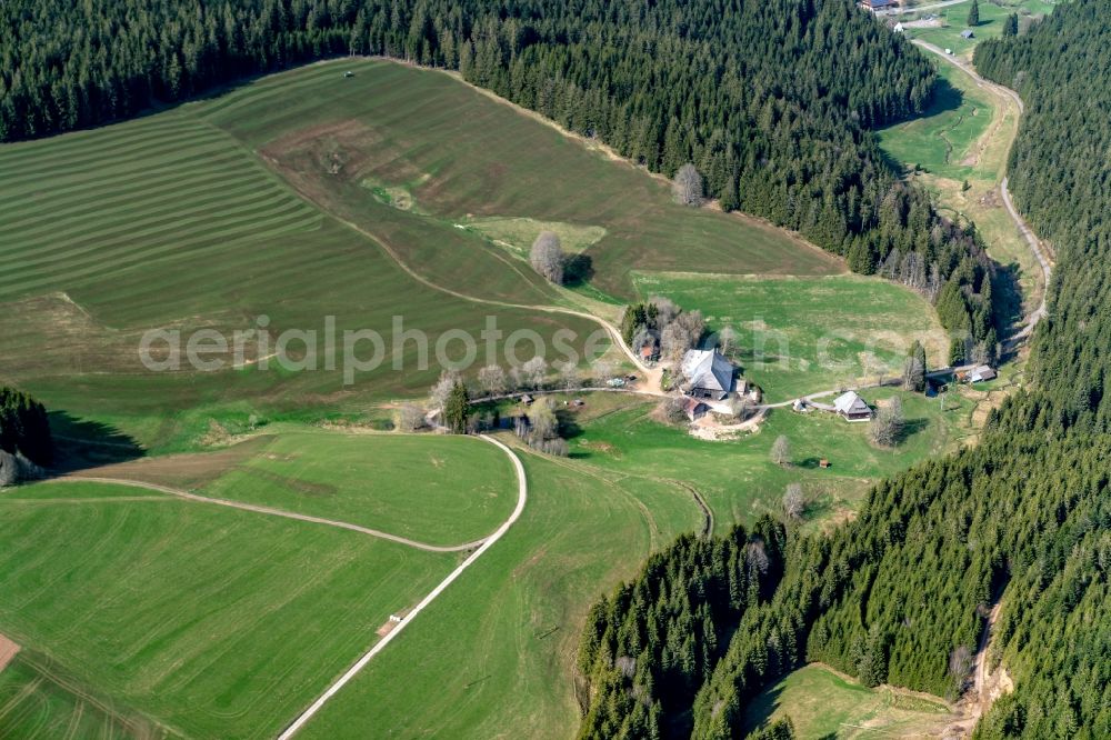 Aerial photograph Hornberg - Farm on the edge of cultivated fields in Hornberg in the state Baden-Wuerttemberg, Germany