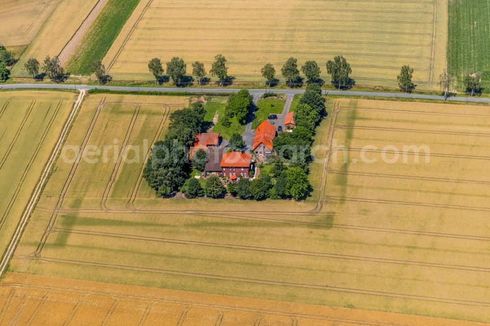 Aerial image Krane - Farm on the edge of cultivated fields in Krane in the state North Rhine-Westphalia, Germany