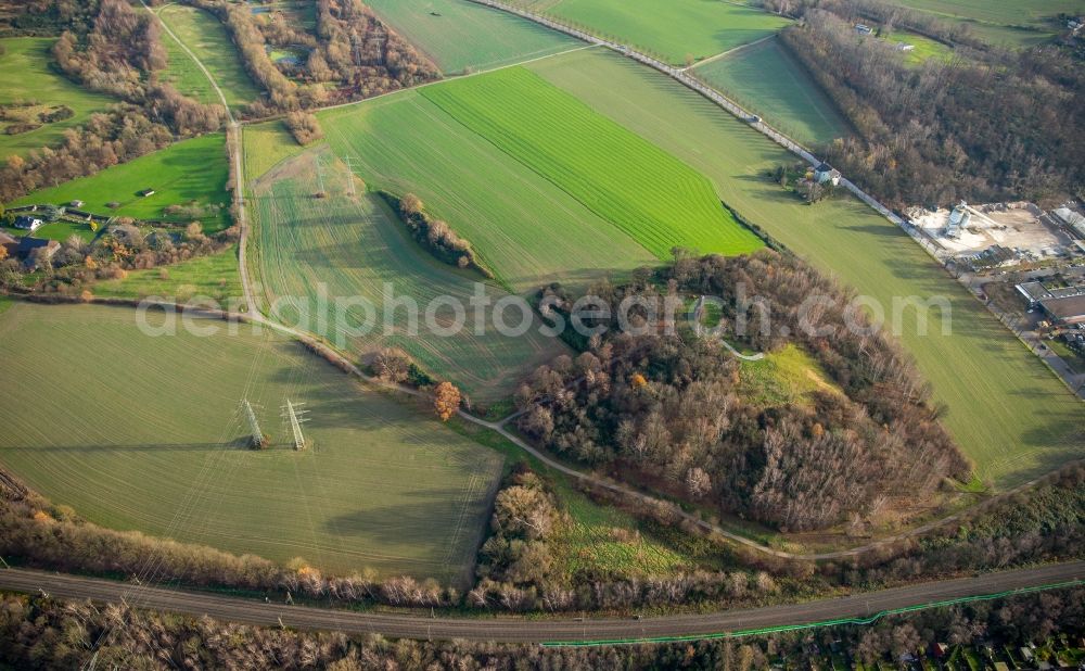 Essen from above - Farm on the edge of cultivated fields on Mechtenberg in Essen in the state North Rhine-Westphalia