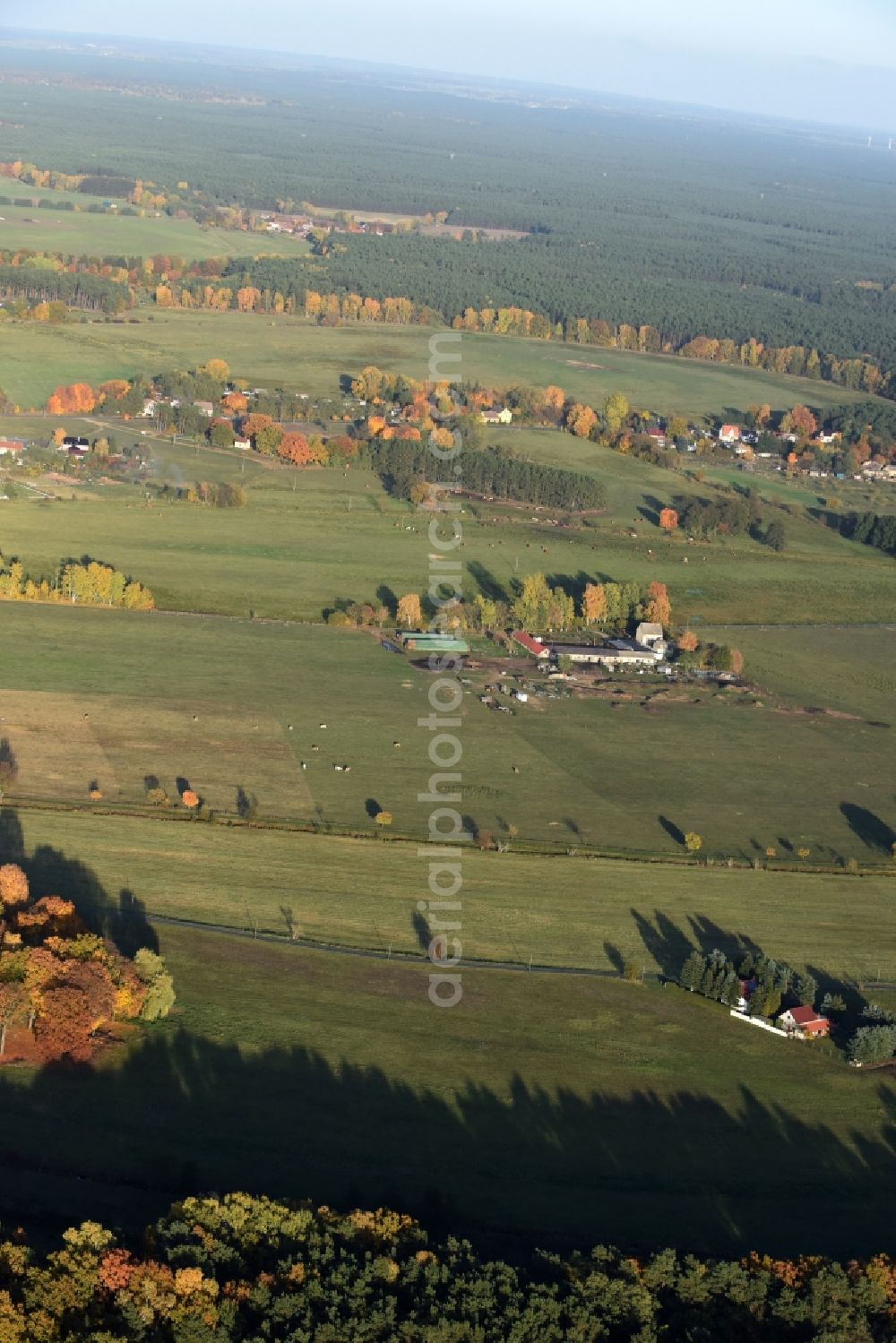 Aerial image Neu Hartmannsdorf - Farm on the edge of cultivated fields in Neu Hartmannsdorf in the state Brandenburg