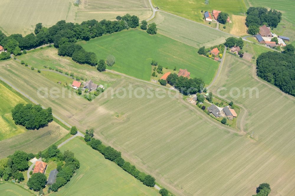 Oelde from above - Farm on the edge of cultivated fields in Oelde in the state North Rhine-Westphalia