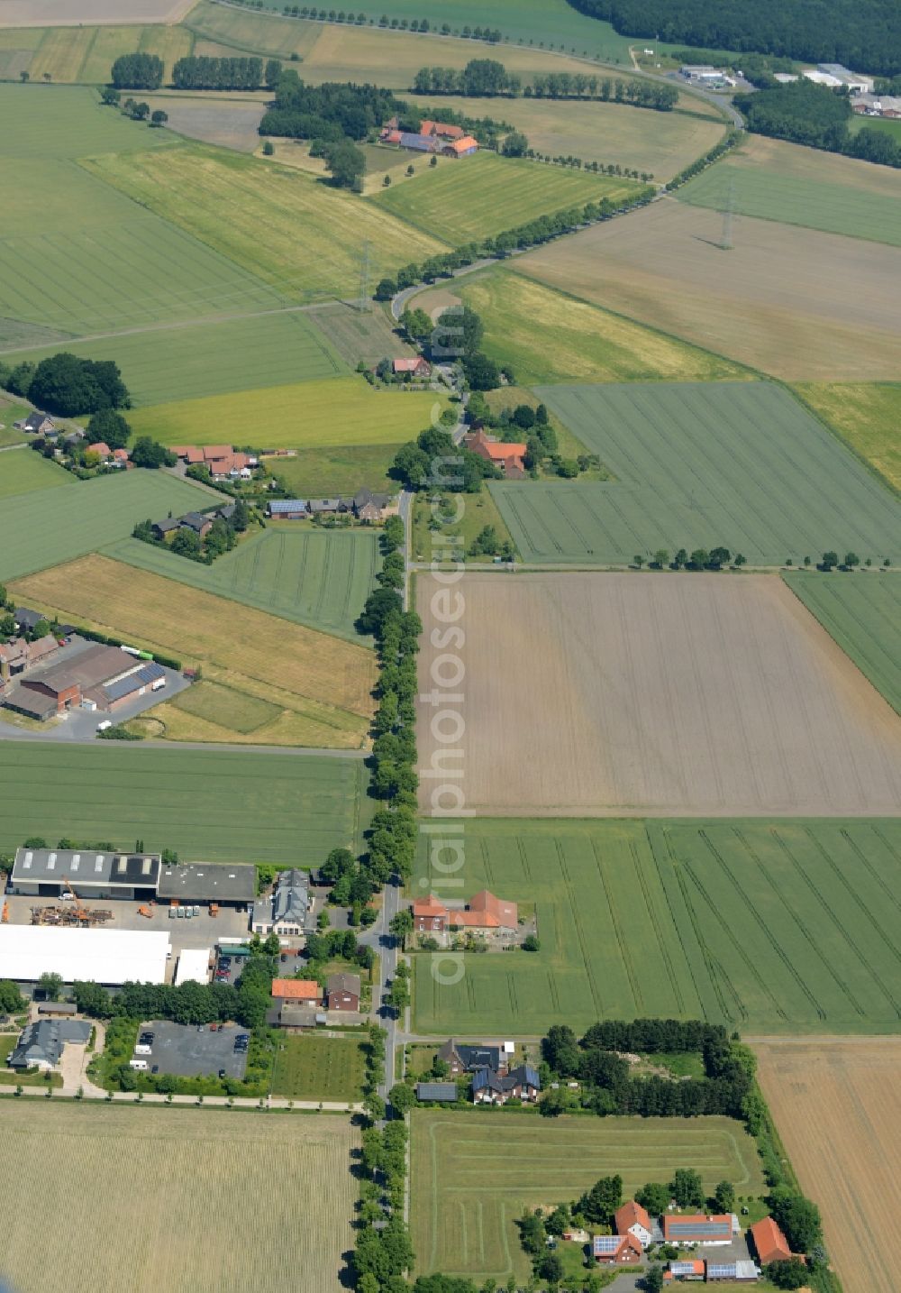 Oelde from the bird's eye view: Farm on the edge of cultivated fields in Oelde in the state North Rhine-Westphalia