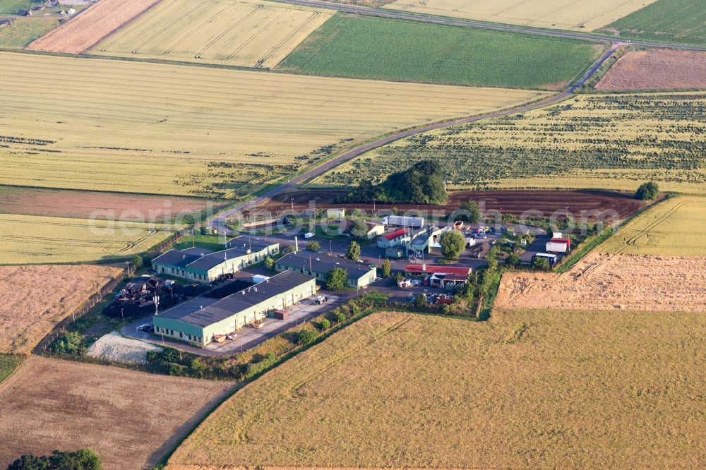 Aerial photograph Orbis - Farm on the edge of cultivated fields in Orbis in the state Rhineland-Palatinate, Germany