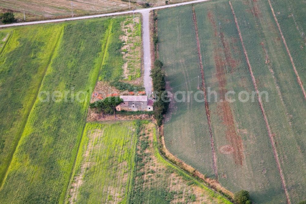 Aerial photograph Riccio - Farm on the edge of cultivated fields in Riccio in the Toscana, Italy