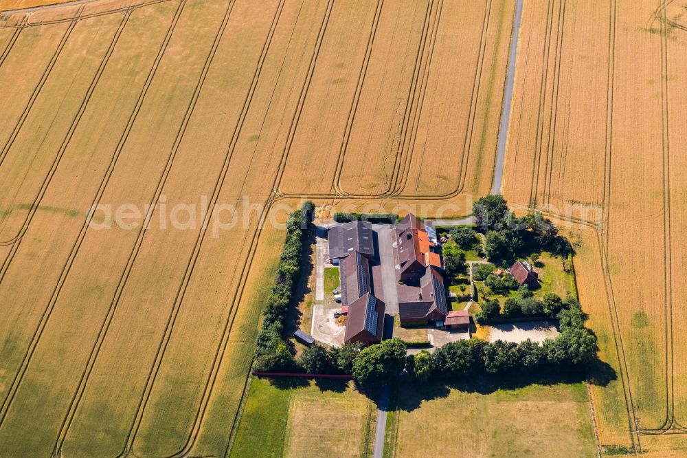 Rosendahl from above - Farm on the edge of cultivated fields in Rosendahl in the state North Rhine-Westphalia, Germany