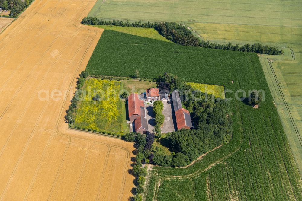 Aerial image Rosendahl - Farm on the edge of cultivated fields in Rosendahl in the state North Rhine-Westphalia, Germany