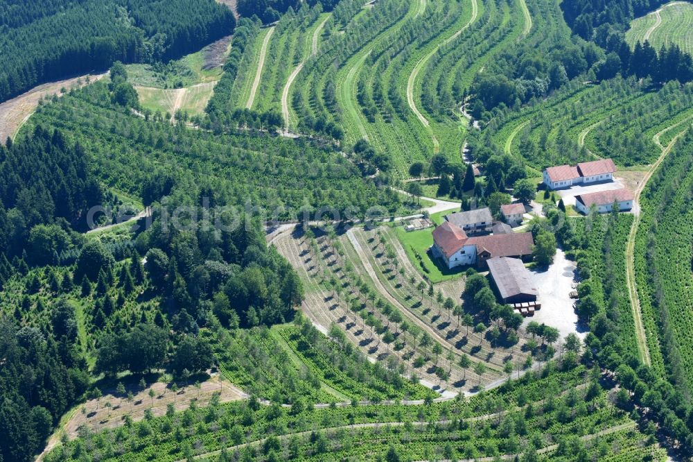 Aerial photograph Windorf - Farm on the edge of cultivated fields in Windorf in the state Bavaria, Germany