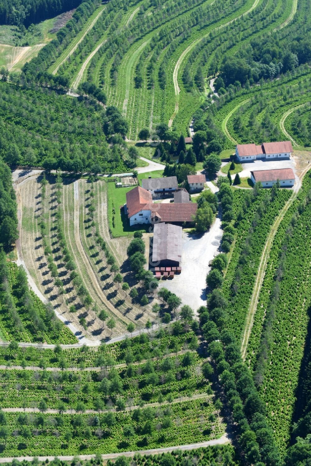 Windorf from above - Farm on the edge of cultivated fields in Windorf in the state Bavaria, Germany