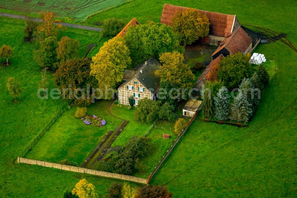 Hamm from above - Farm on the edge of cultivated fields in autumnal Herringen in Hamm in the state of North Rhine-Westphalia