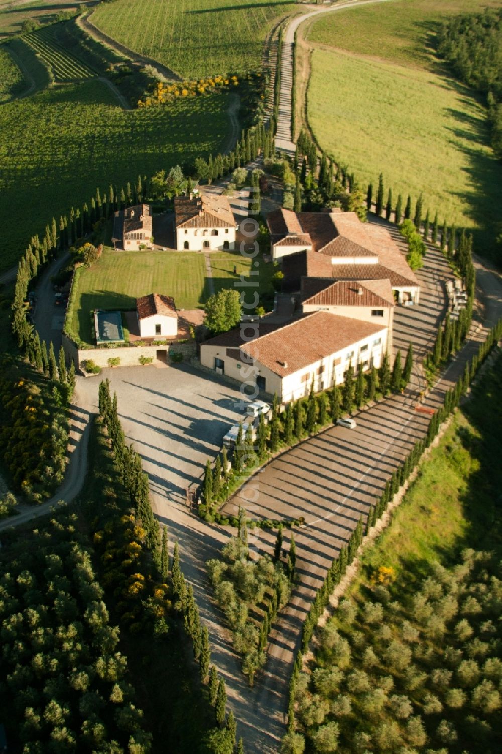 Caparzo from the bird's eye view: Farm with cypress alley in Caparzo in Toscana, Italy