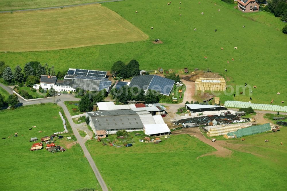 Marsberg from above - Homestead of a BIO - farm in Marsberg in the state North Rhine-Westphalia, Germany