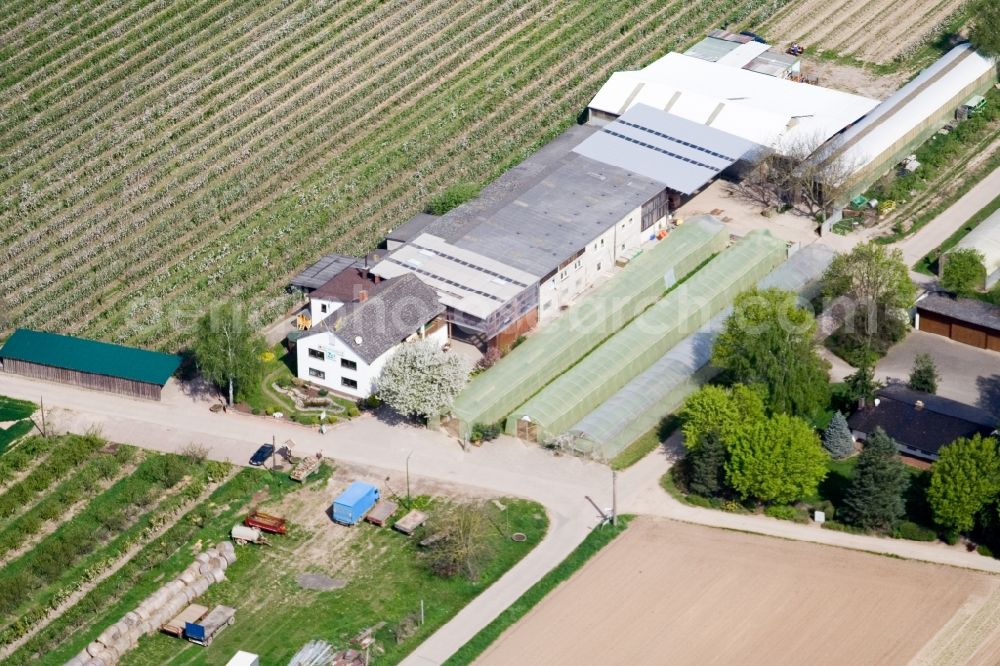 Aerial photograph Kandel - Homestead of a asparagus and fruit farm Zapf with farm market in Kandel in the state Rhineland-Palatinate