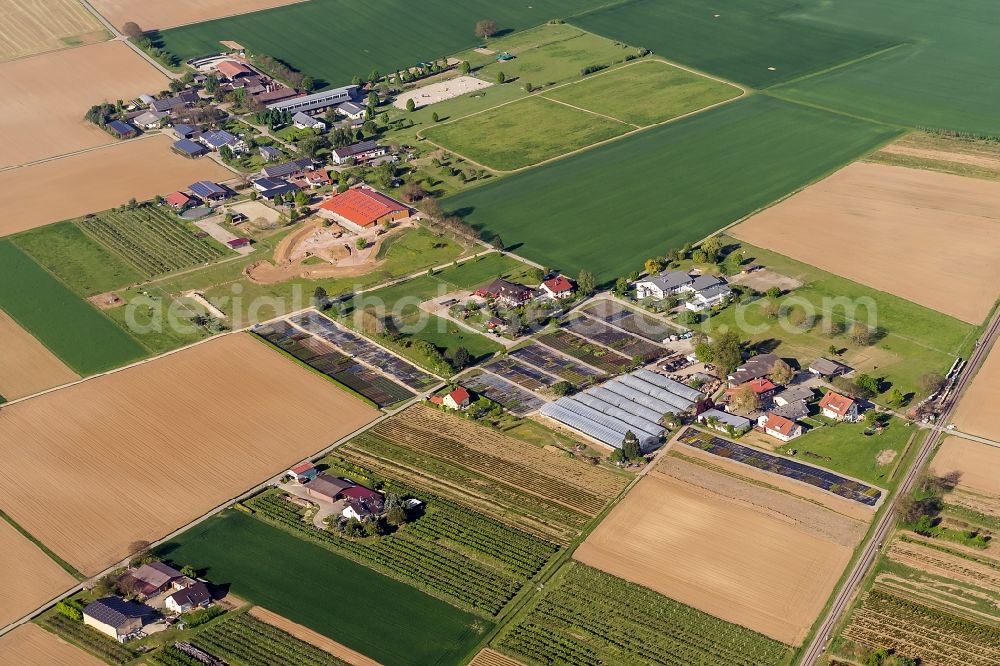 Aerial photograph Endingen am Kaiserstuhl - Farm on the edge of cultivated fields in Endingen am Kaiserstuhl in the state Baden-Wuerttemberg