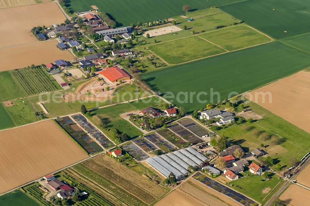 Endingen am Kaiserstuhl from above - Farm on the edge of cultivated fields in Endingen am Kaiserstuhl in the state Baden-Wuerttemberg