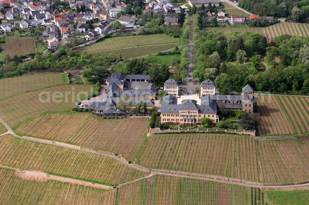 Aerial photograph Geisenheim - Blick auf das traditionelle Weingut und Weinanlage Schloss Johannisberg in Geisenheim im Rheingau in Hessen. Die dem Verband Deutscher Prädikats- und Qualitätsweingüter angehörende Weinbaudomäne ist alleiniger Besitzer der 35 Hektar großen Lage, die zu den besten des Rheingaus zählt. View to the traditional wine-growing estate and the wine-growing area Schloss Johannisberg in Geisenheim in Rheingau.