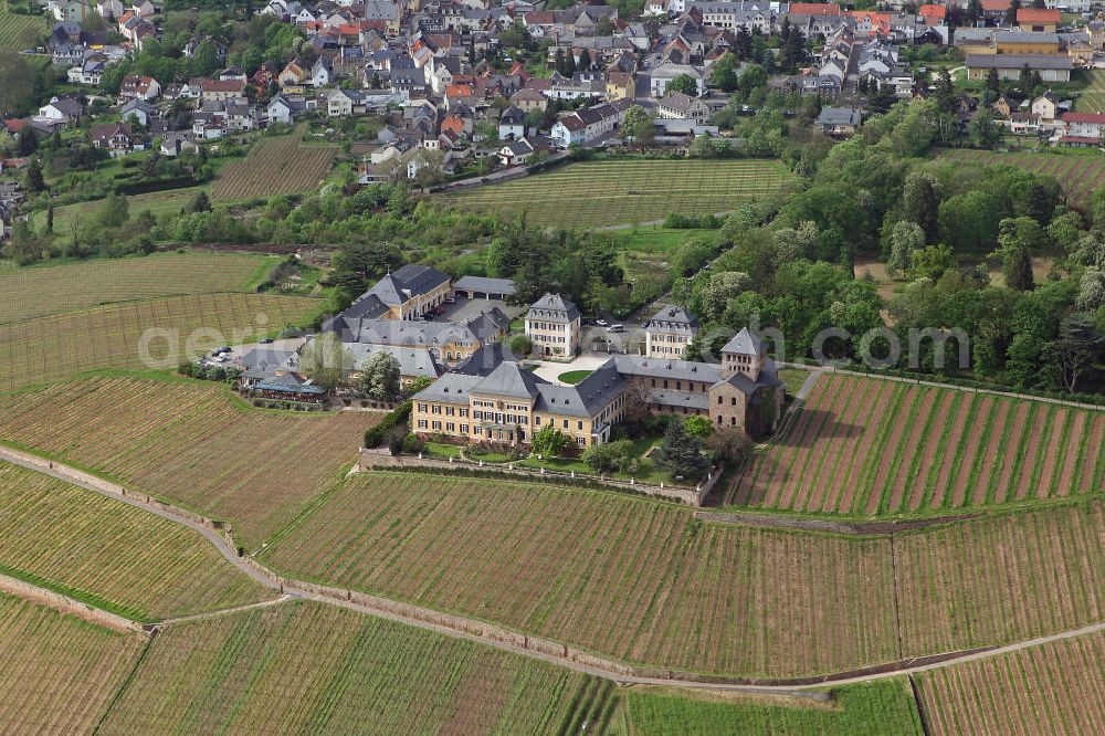 Geisenheim from the bird's eye view: Blick auf das traditionelle Weingut und Weinanlage Schloss Johannisberg in Geisenheim im Rheingau in Hessen. Die dem Verband Deutscher Prädikats- und Qualitätsweingüter angehörende Weinbaudomäne ist alleiniger Besitzer der 35 Hektar großen Lage, die zu den besten des Rheingaus zählt. View to the traditional wine-growing estate and the wine-growing area Schloss Johannisberg in Geisenheim in Rheingau.