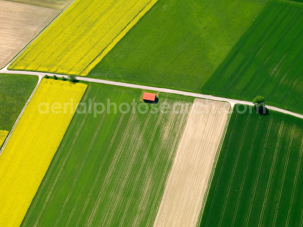 Alberweiler from above - Yellow - green contrast of blooming rapeseed flowers on field stripes in Alberweiler in the state Baden-Wuerttemberg, Germany