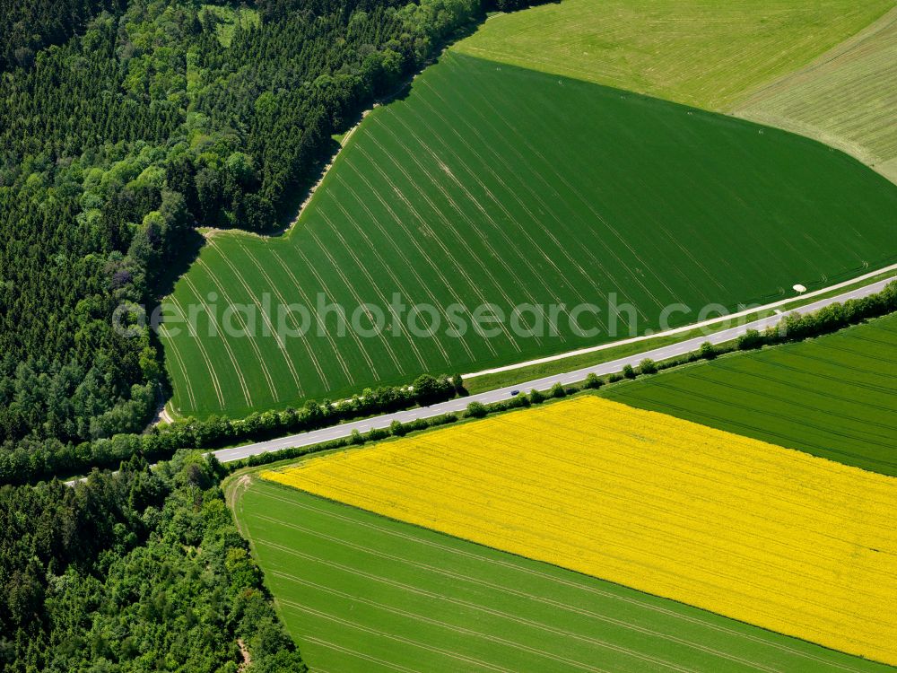 Aerial photograph Attenweiler - Yellow - green contrast of blooming rapeseed flowers on field stripes in Attenweiler in the state Baden-Wuerttemberg, Germany